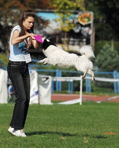 Чемпионат Европы